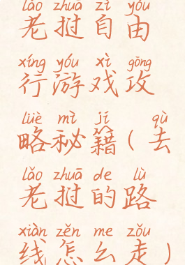 老挝自由行游戏攻略秘籍(去老挝的路线怎么走)