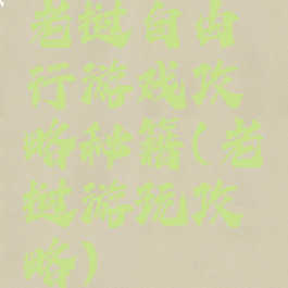 老挝自由行游戏攻略秘籍(老挝游玩攻略)