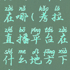 考达拉平台在哪(考拉直播平台在什么地方下载)