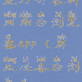 能打开各种网站的浏览器app(男生必备的浏览器)