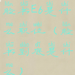 脸书E6是什么职位(脸书到底是什么)