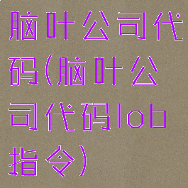 脑叶公司代码(脑叶公司代码lob指令)