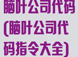 脑叶公司代码(脑叶公司代码指令大全)