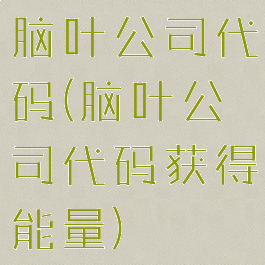 脑叶公司代码(脑叶公司代码获得能量)