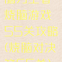 脑力王者烧脑游戏55关攻略(烧脑对决第65关)