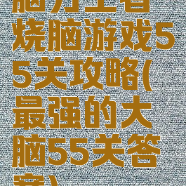 脑力王者烧脑游戏55关攻略(最强的大脑55关答案)