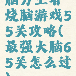 脑力王者烧脑游戏55关攻略(最强大脑65关怎么过)