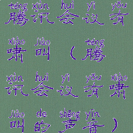 腾讯会议有啸叫(腾讯会议有啸叫的声音)