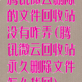 腾讯微云删除的文件回收站没有咋弄(腾讯微云回收站永久删除文件怎么找回)