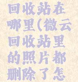 腾讯微云回收站在哪里(微云回收站里的照片都删除了怎么找回)