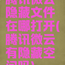 腾讯微云隐藏文件在哪打开(腾讯微云有隐藏空间吗)