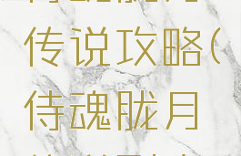 腾讯游戏侍魂胧月传说攻略(侍魂胧月传说副本攻略)