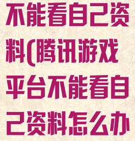 腾讯游戏平台不能看自己资料(腾讯游戏平台不能看自己资料怎么办)