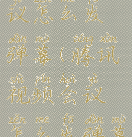 腾讯视频会议怎么发弹幕(腾讯视频会议怎么发弹幕啊)