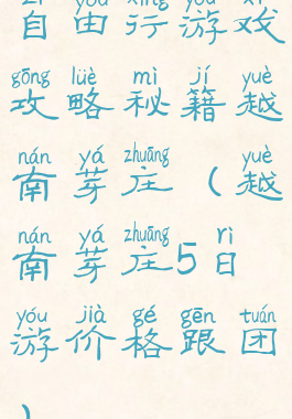 自由行游戏攻略秘籍越南芽庄(越南芽庄5日游价格跟团)