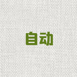 自动
