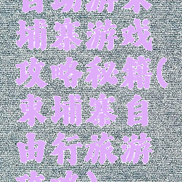 自助游柬埔寨游戏攻略秘籍(柬埔寨自由行旅游攻略)