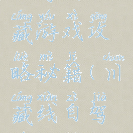 自驾去川藏游戏攻略秘籍(川藏线自驾游攻略)