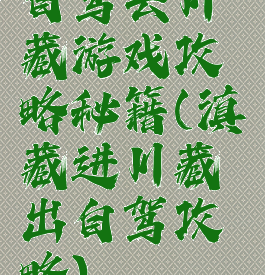 自驾去川藏游戏攻略秘籍(滇藏进川藏出自驾攻略)