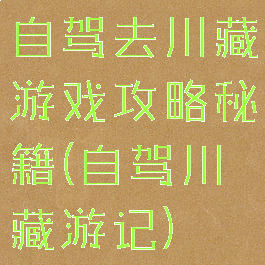 自驾去川藏游戏攻略秘籍(自驾川藏游记)