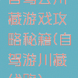 自驾去川藏游戏攻略秘籍(自驾游川藏线路)