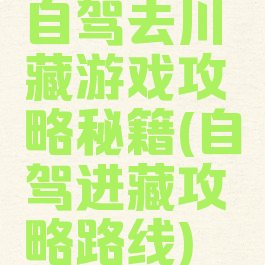 自驾去川藏游戏攻略秘籍(自驾进藏攻略路线)