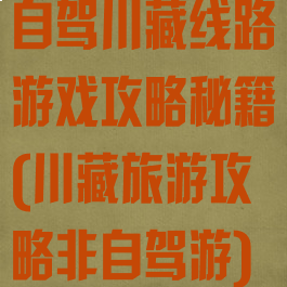 自驾川藏线路游戏攻略秘籍(川藏旅游攻略非自驾游)