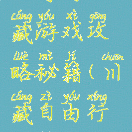 自驾游川藏游戏攻略秘籍(川藏自由行攻略)