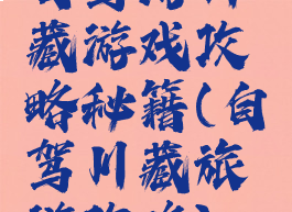 自驾游川藏游戏攻略秘籍(自驾川藏旅游攻略)