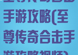 至尊传奇合击手游攻略(至尊传奇合击手游攻略视频)