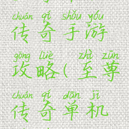 至尊单机传奇手游攻略(至尊传奇单机游戏)