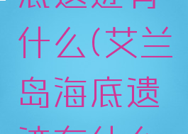 艾兰岛海底遗迹有什么(艾兰岛海底遗迹有什么东西)