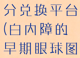 艾欧泽亚积分兑换平台(白内障的早期眼球图片)