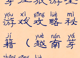 芽庄旅游全游戏攻略秘籍(越南芽庄攻略)