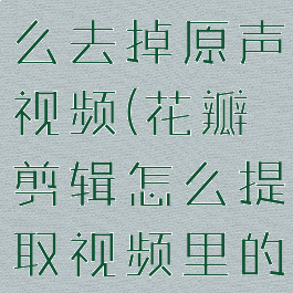 花瓣剪辑怎么去掉原声视频(花瓣剪辑怎么提取视频里的音乐)