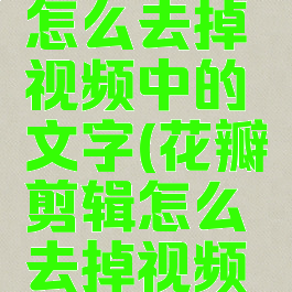 花瓣剪辑怎么去掉视频中的文字(花瓣剪辑怎么去掉视频中的文字)