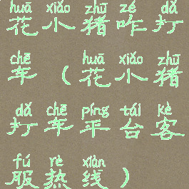 花小猪咋打车(花小猪打车平台客服热线)