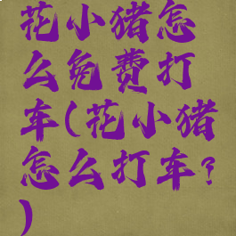 花小猪怎么免费打车(花小猪怎么打车?)