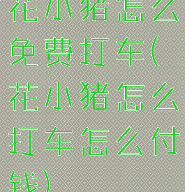 花小猪怎么免费打车(花小猪怎么打车怎么付钱)