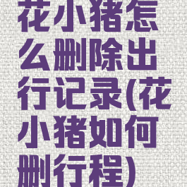 花小猪怎么删除出行记录(花小猪如何删行程)