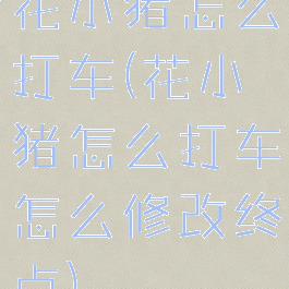花小猪怎么打车(花小猪怎么打车怎么修改终点)