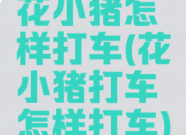 花小猪怎样打车(花小猪打车怎样打车)