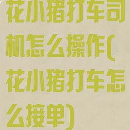 花小猪打车司机怎么操作(花小猪打车怎么接单)
