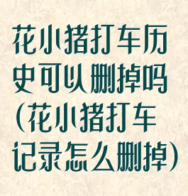 花小猪打车历史可以删掉吗(花小猪打车记录怎么删掉)