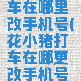 花小猪打车在哪里改手机号(花小猪打车在哪更改手机号码)
