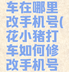 花小猪打车在哪里改手机号(花小猪打车如何修改手机号码)