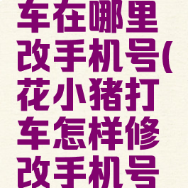 花小猪打车在哪里改手机号(花小猪打车怎样修改手机号码)