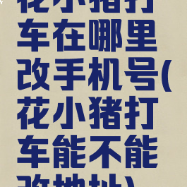 花小猪打车在哪里改手机号(花小猪打车能不能改地址)