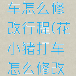 花小猪打车怎么修改行程(花小猪打车怎么修改上车时间)