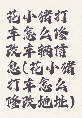 花小猪打车怎么修改车辆信息(花小猪打车怎么修改地址)